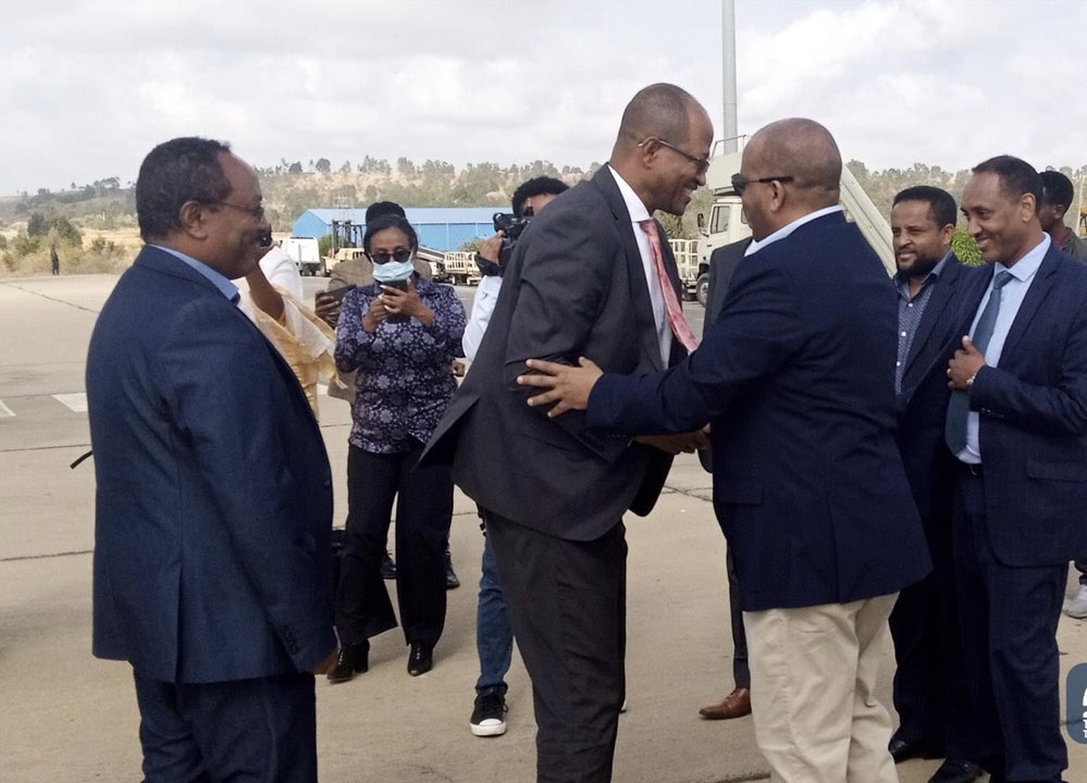 hermela aregawi tweet media