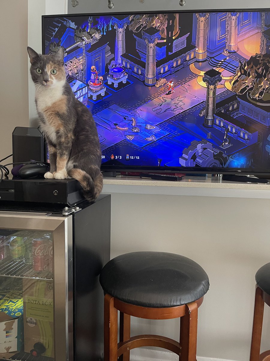 V hard to play Hades when the cat is covering my dang health bar