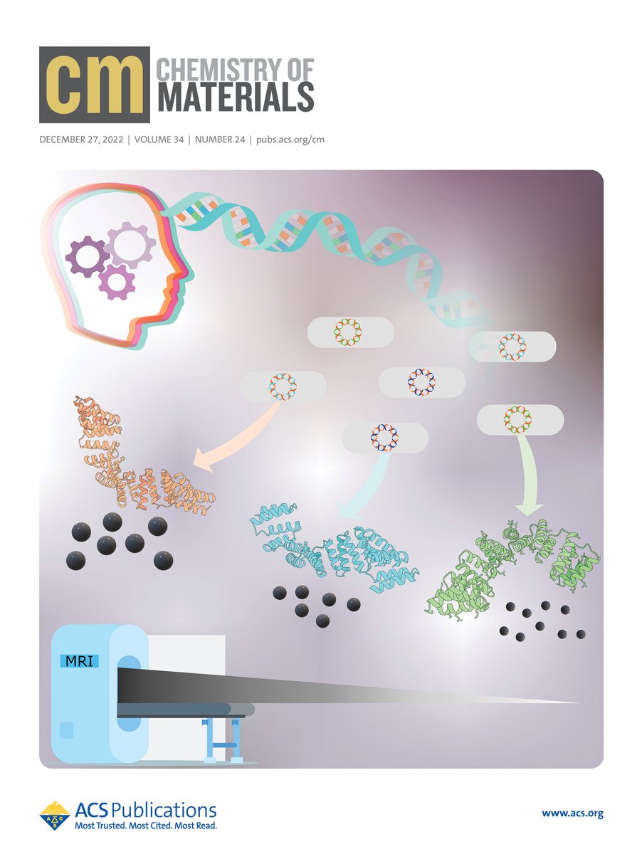 bionanogguedes's tweet photo. I'm so proud to finally share the first cover designed by me @ChemMater ! 
We design a protein, then we engineer the DNA that is translated by the bacteria into different proteins able to originate materials with tailored MRI properties. 
https://t.co/UYAaMnDYQc https://t.co/ubFZvCBLDZ