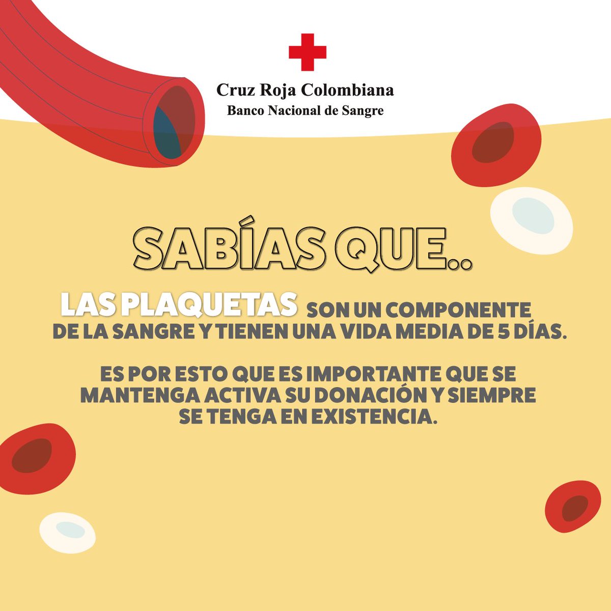 BancoSangre_CRC's tweet photo. Qué estás esperando para donar?

Hoy es el día para dar un regalo de vida con tu acto solidario y de amor🩸❤️

Eres el tipo de alguien, tú también puedes ayudar 😊🩸🙌

#EresElTipoDeAlguien #RegaloDeVida #Bogota #SalvaVidas #DonaPlaquetas #DonaSangre https://t.co/YvOU7sa1Hh