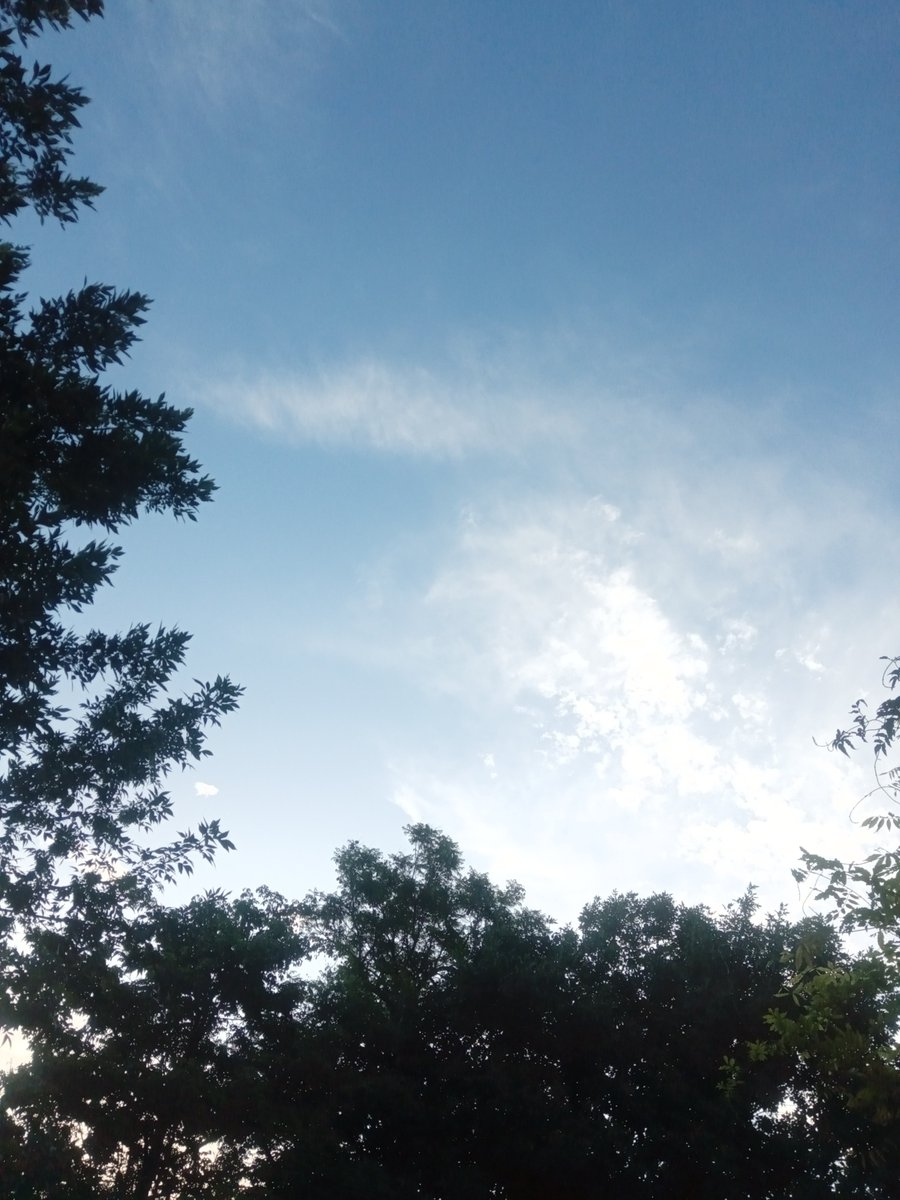 laAna_gg's tweet photo. #Verano 🇦🇷 https://t.co/rh1g0uj3Eu