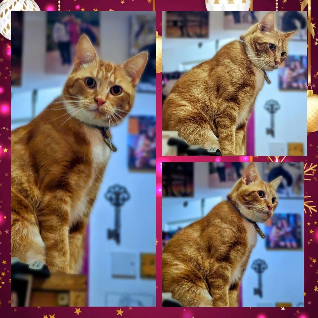 It's me!! instagr.am/p/CmrgOmsNSAC/