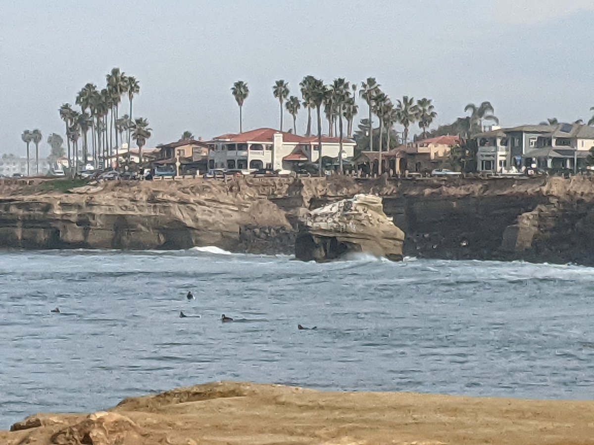 Watching birds glide over the waves without flapping their wings is pretty darn cool.