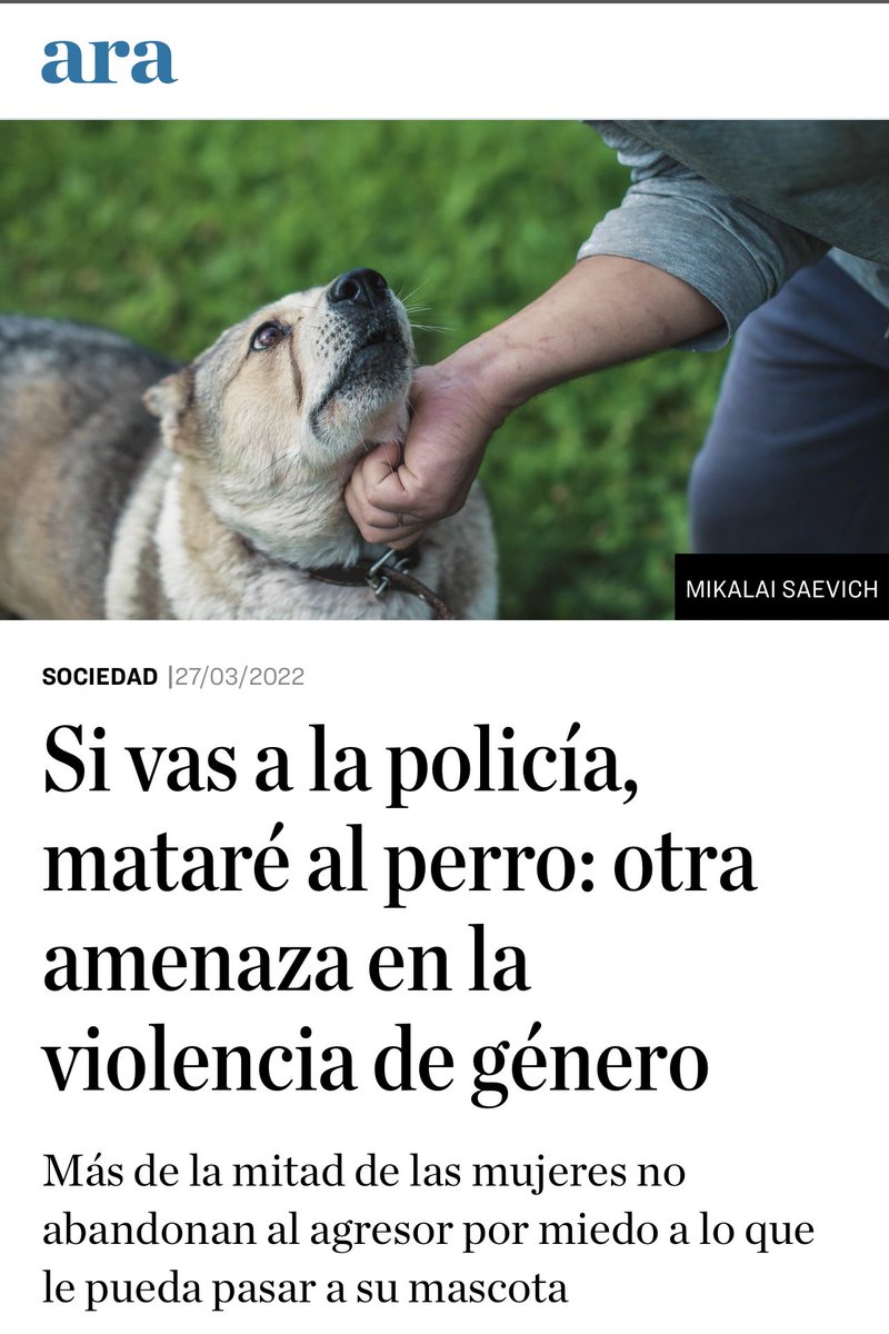 🐾🙎🏻‍♀️ “Si vas a la policía, mataré al perro.” Otra amenaza en la violencia de género. 

es.ara.cat/130_41e1a9 via @diariARA #VioPet #ViolenciaMachista #violenciafamiliar #NoAlMaltratoAnimal #violenciainstrumental