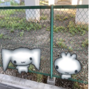 yumyumyamq's tweet photo. 遭遇。 https://t.co/l9Y8Jk6wnp