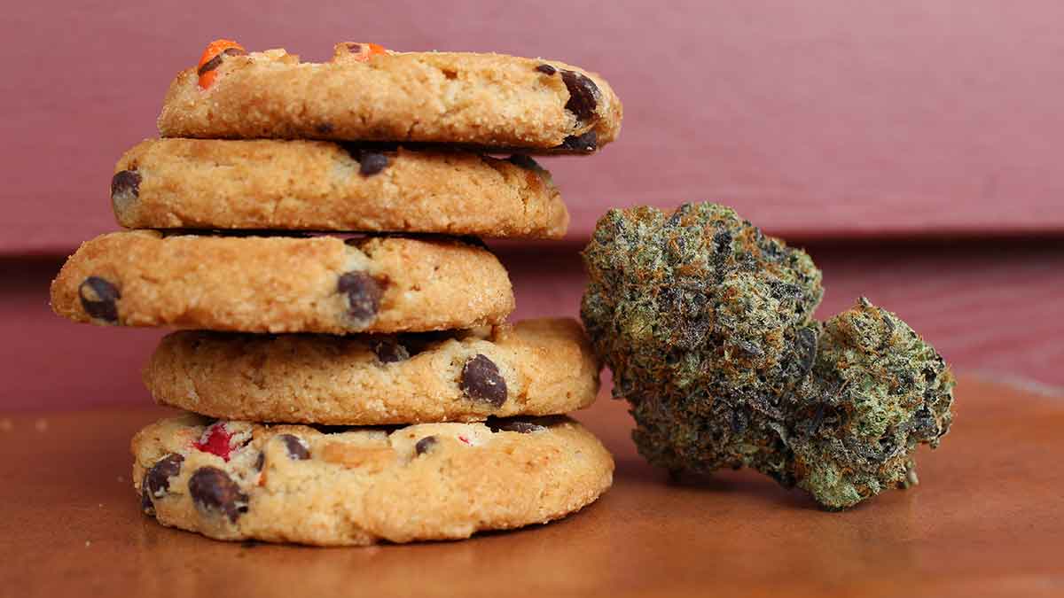 CannabisUrlaub's tweet photo. Wie Cannabis konsumieren, ohne zu rauchen?
https://t.co/32R0cW05tz
#cannabisurlaub #cannabislegalisierung #WeedLovers #Weedmob #CannabisNews #Essen #cannabismedical #Medical #medicalstudent #medicalmarijuana #backen #kochen #tinktur #salbe #gel #pflaster #pulver #CBD #thc #THCH https://t.co/7h3rUB7HWe