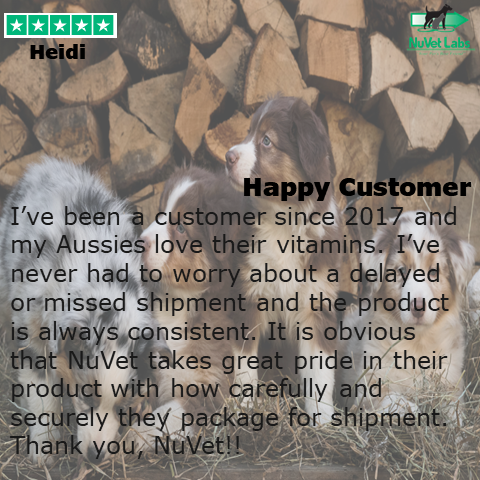 Heidi has her Aussies on NuVet Plus and loves the service we provide. #dogmom #customerservice #nutrition #supplements