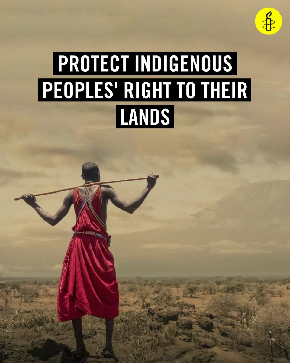 amnestyusa's tweet photo. Indigenous peoples are the guardians of conservation, and any decision on protecting biodiversity must place their rights to their lands at its heart. https://t.co/EFCwcXO27f