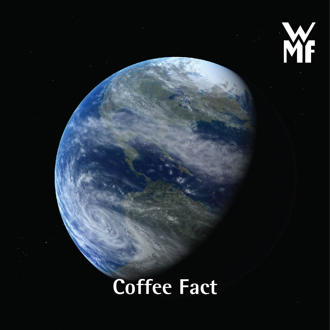 Did you know that globally 2.25 billion cups of coffee are consumed every day

#coffee #coffeefacts