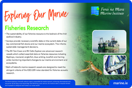 MarineInst's tweet photo. #ExploringOurMarine
🐟Check out the Fisheries Research and other infographics at
🔗https://t.co/R9Vuddb9Fn https://t.co/OL1eFXppiK