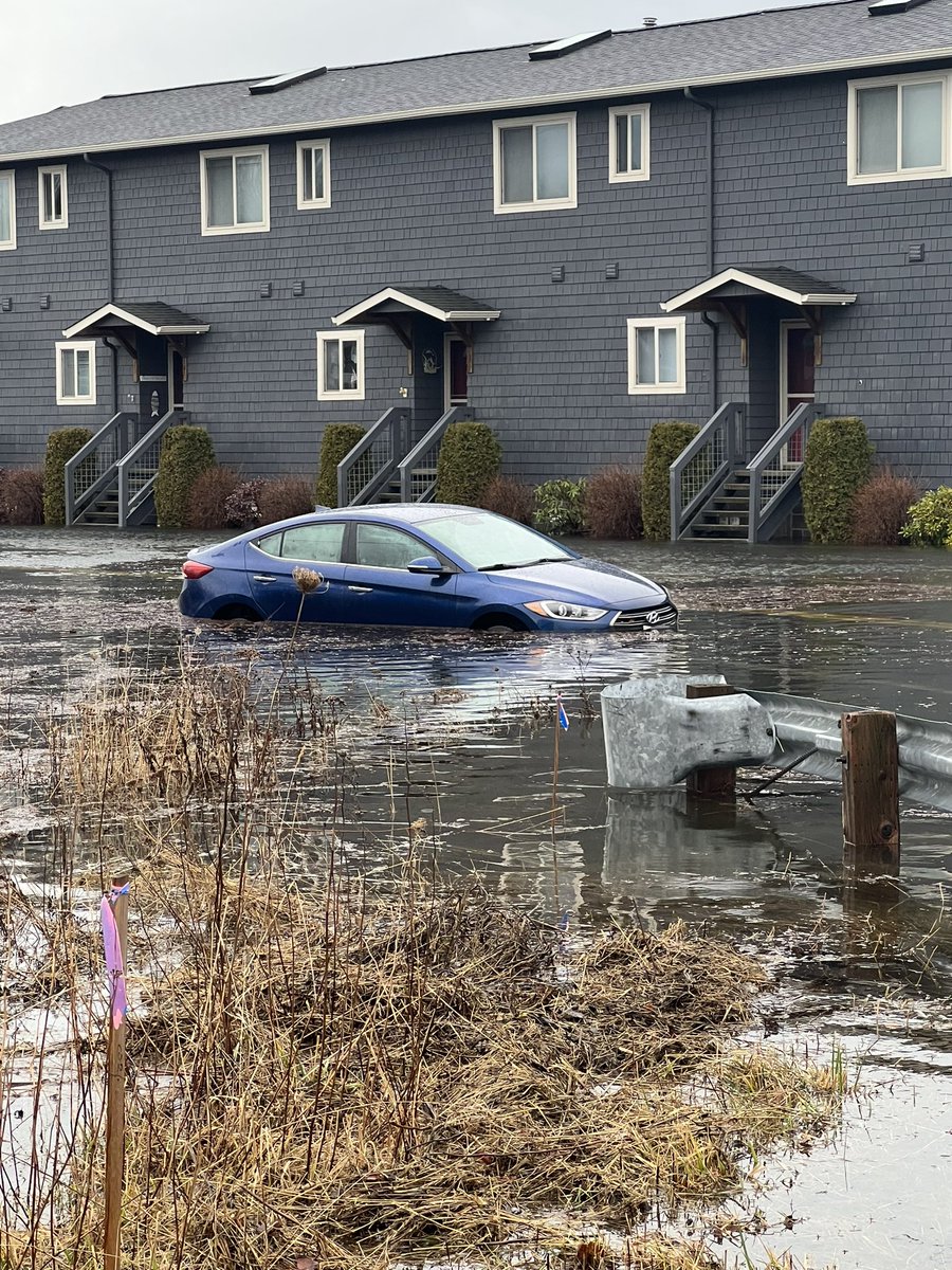 sacha93's tweet photo. Flooding in Birch Bay 12/27/22 https://t.co/2z18TMU8FR