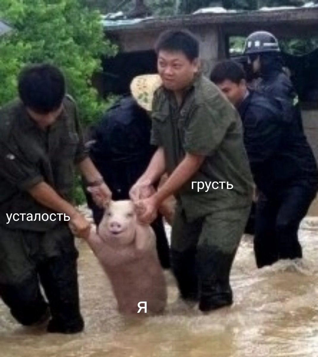 hexnarok's tweet image. готов к #2023 Новому Году