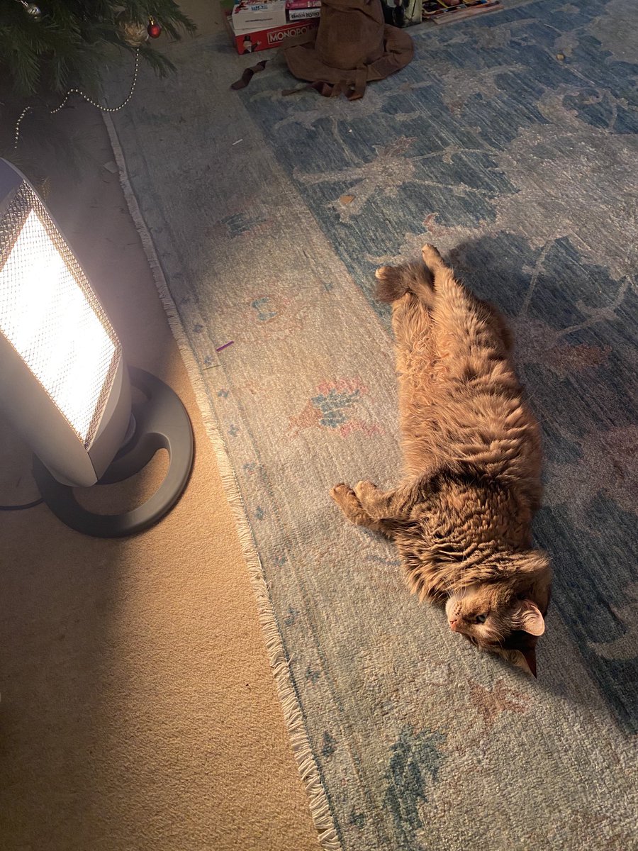 The cat is enjoying the new heater