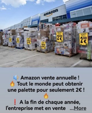 Ça ne tourne pas rond 😱😤, tous ces gens qui commandent des articles, dont certains font le tour du monde 🤯, pour ne même pas les réclamer 😡🤨😩! Les gens ont beaucoup de pognon en fait 🧐. Ces palettes vont être achetées par des associations humanitaires 😍🙏.