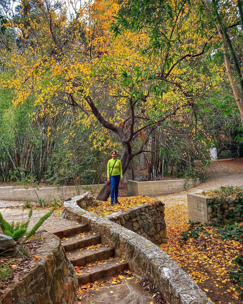 _SandeepKBhat's tweet photo. Solo shoot turned into a family shoot after my toddler photobombed 📸💣 the scene. Swipe to see the full sequence as it happened. 
.
.
.
#fallcolors
#weekendhikes
#views
#forest
#hikevibes
#hikingbangers
#nicehike
#peoplewhoadventure
#perspective
#idhi… https://t.co/XkdsEF2JEg https://t.co/W2mGusM7ac