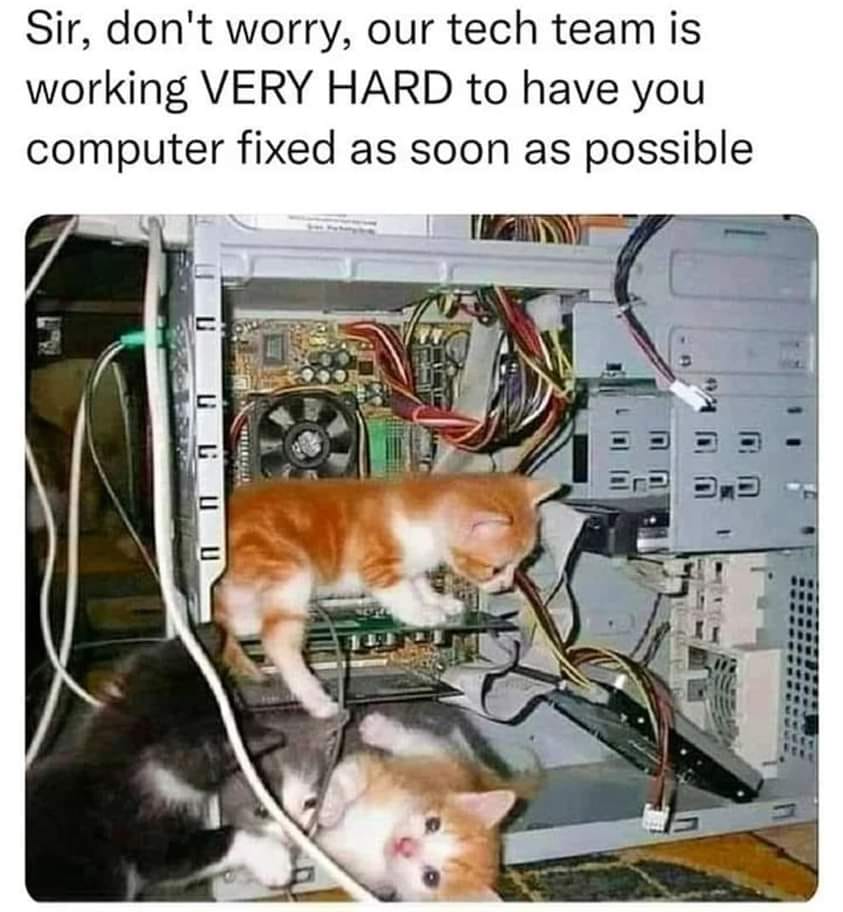 CATBRAINCELL's tweet photo. https://t.co/CTcG4uzloC