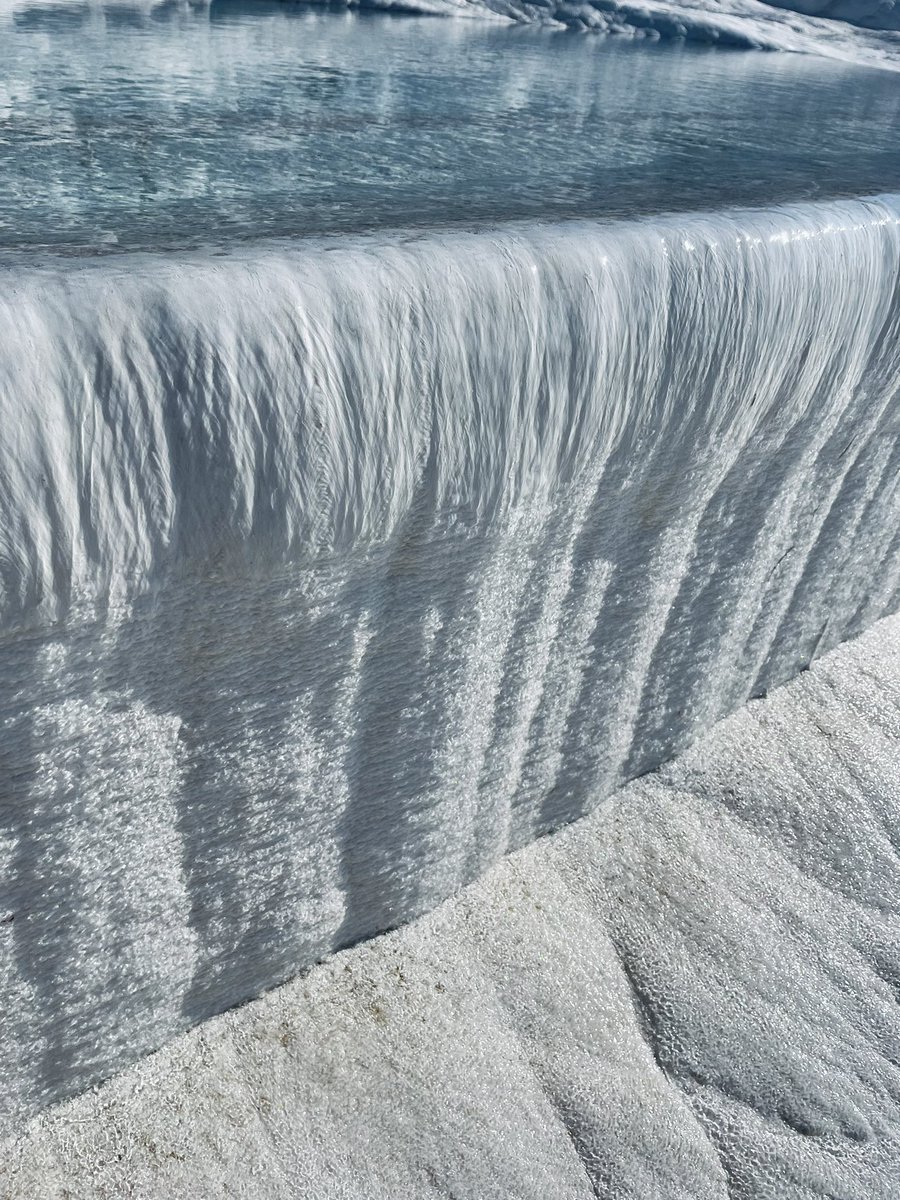 Qin Zhang 张秦 tweet media