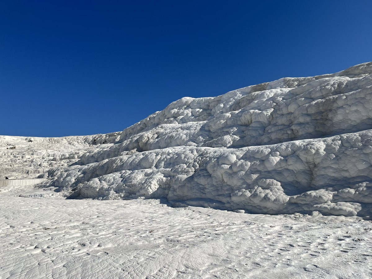 Qin Zhang 张秦 tweet media