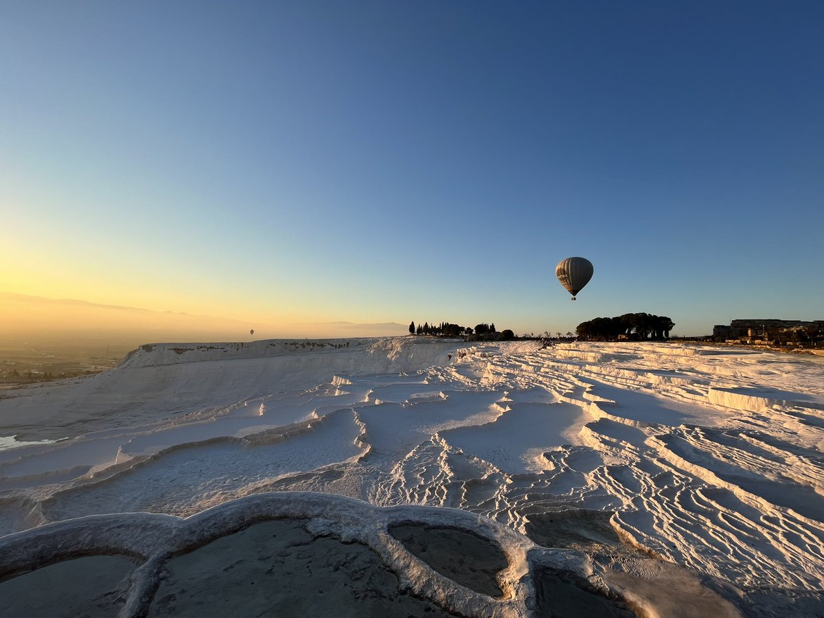 Qin Zhang 张秦 tweet media