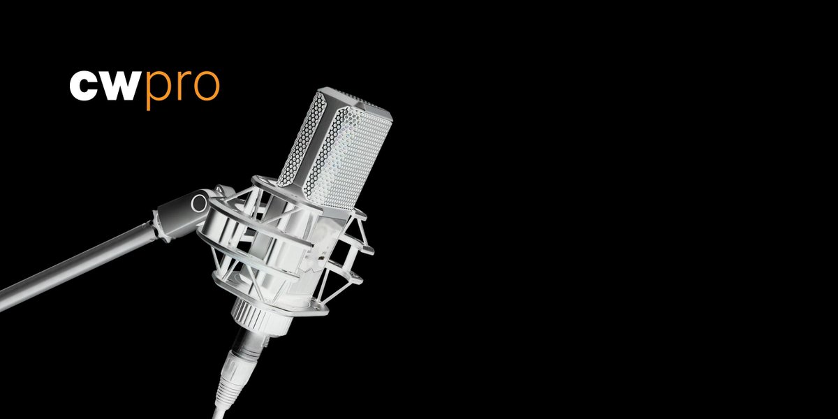thecyberwire's tweet photo. On our winter break, we're sharing some #CWPro #InterviewSelects in #CyberWIreDaily podcast feed. Today, listen to the extended interview & learn why collective cybersecurity ultimately depends on having a diverse, skilled workforce from MK Palmore from @googlecloud. https://t.co/SiRb7YhqxZ