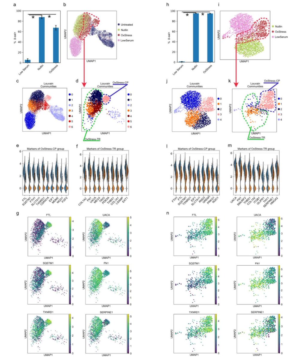 GeroScienceAGE's tweet photo. 📢New in GeroScience
Rapid emergence of #transcriptionalheterogeneity upon #molecularstress predisposes cells to two distinct states of #senescence by Nikolay Burnaevskiy, Junko Oshima & Alexander R. Mendenhall.
https://t.co/tUObq8X3mH
@UW
#singlecellrnasequencing #aging https://t.co/uwBMpH6rUX