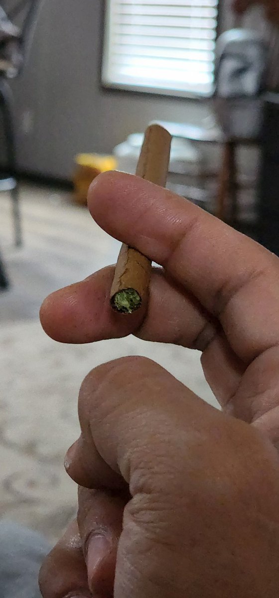 2FrogsDeep's tweet photo. couldn't decide on which picture looked the best. #TimeForBlunt #LetsGetStoned #HighTuesday https://t.co/6riicuWncz