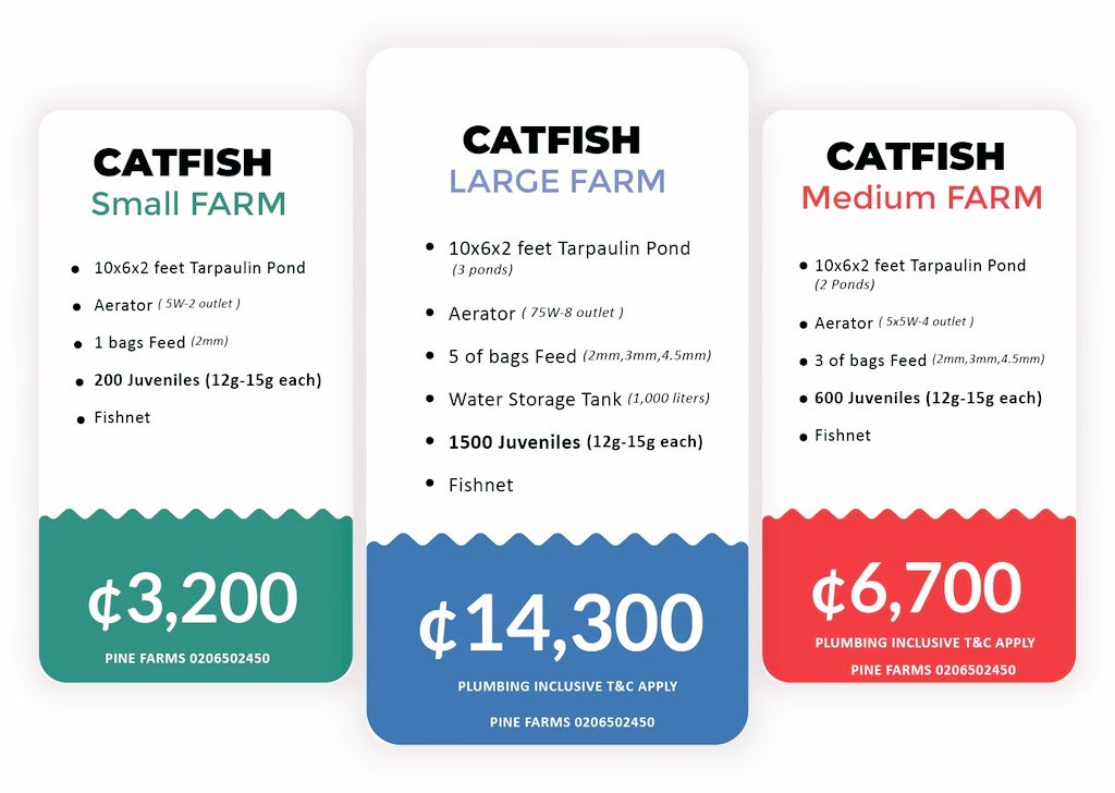 PineaquaFarms's tweet photo. Interested in fish farming? 0206502450
.
Free training and consult
.
.
.
#dettyrave Afronation Hearts of Oak #LaunchControl22 #afrochella2022 Kotoko https://t.co/PV2HrQkiQx