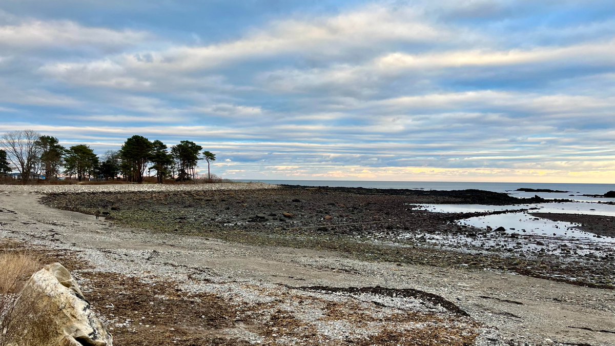 SeacoastSciCtr's tweet photo. Have you signed up for a First Day Hike yet? We're working with @NHStateParks to welcome people here on Sunday 1/1. Come enjoy the oceanside trails &amp; stop in to warm up. https://t.co/rz1YULStH2 #getoutside https://t.co/1QpnsjP7Tl