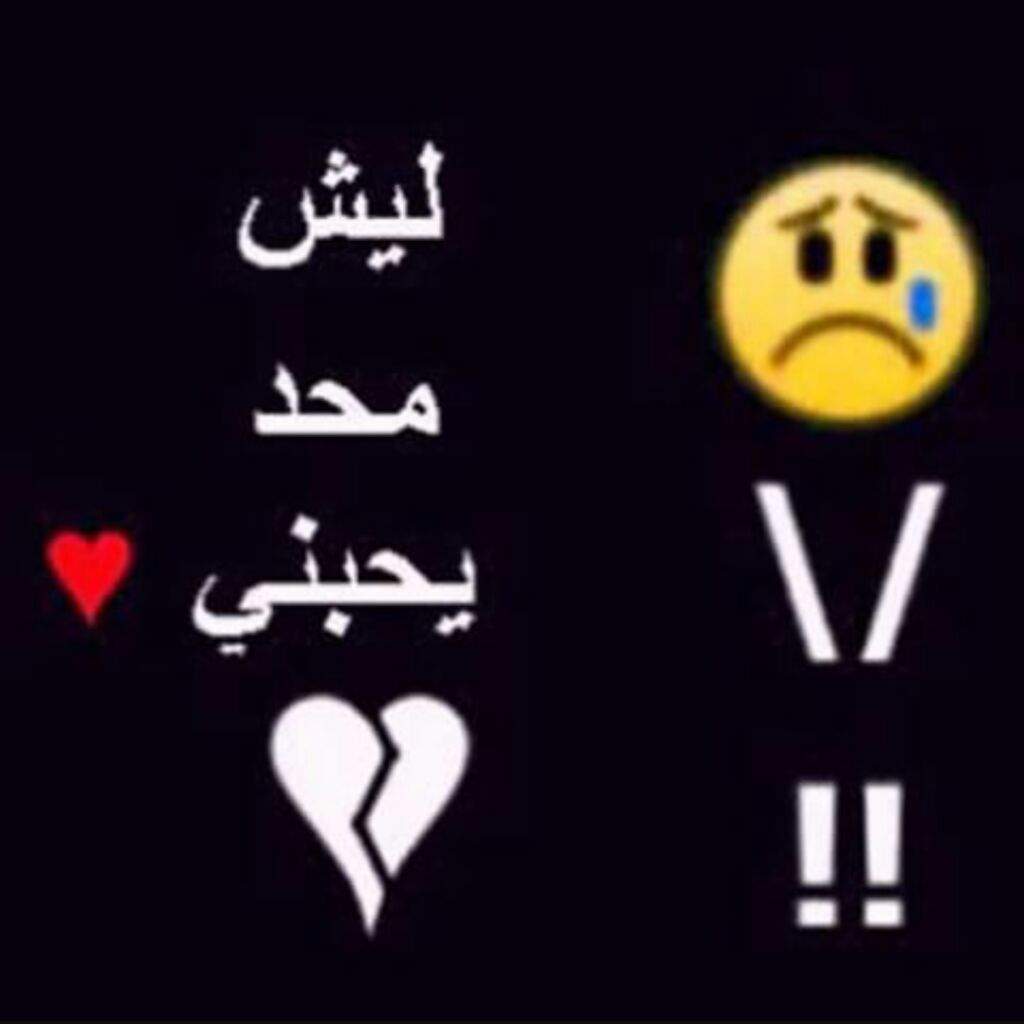 AymanHuthifa's tweet photo. اريد صديق او صديقه https://t.co/YtIv2JUcNi
