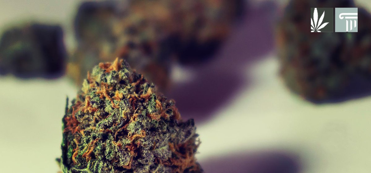 Bipartisan House leadership in New Hampshire poised to unveil a comprehensive cannabis legalization bill that could finally find a way through the Senate.

marijuanaandthelaw.com/bipartisan-new…