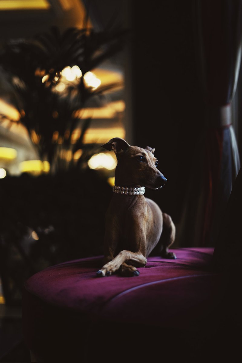 Don't study me, you won't graduate.