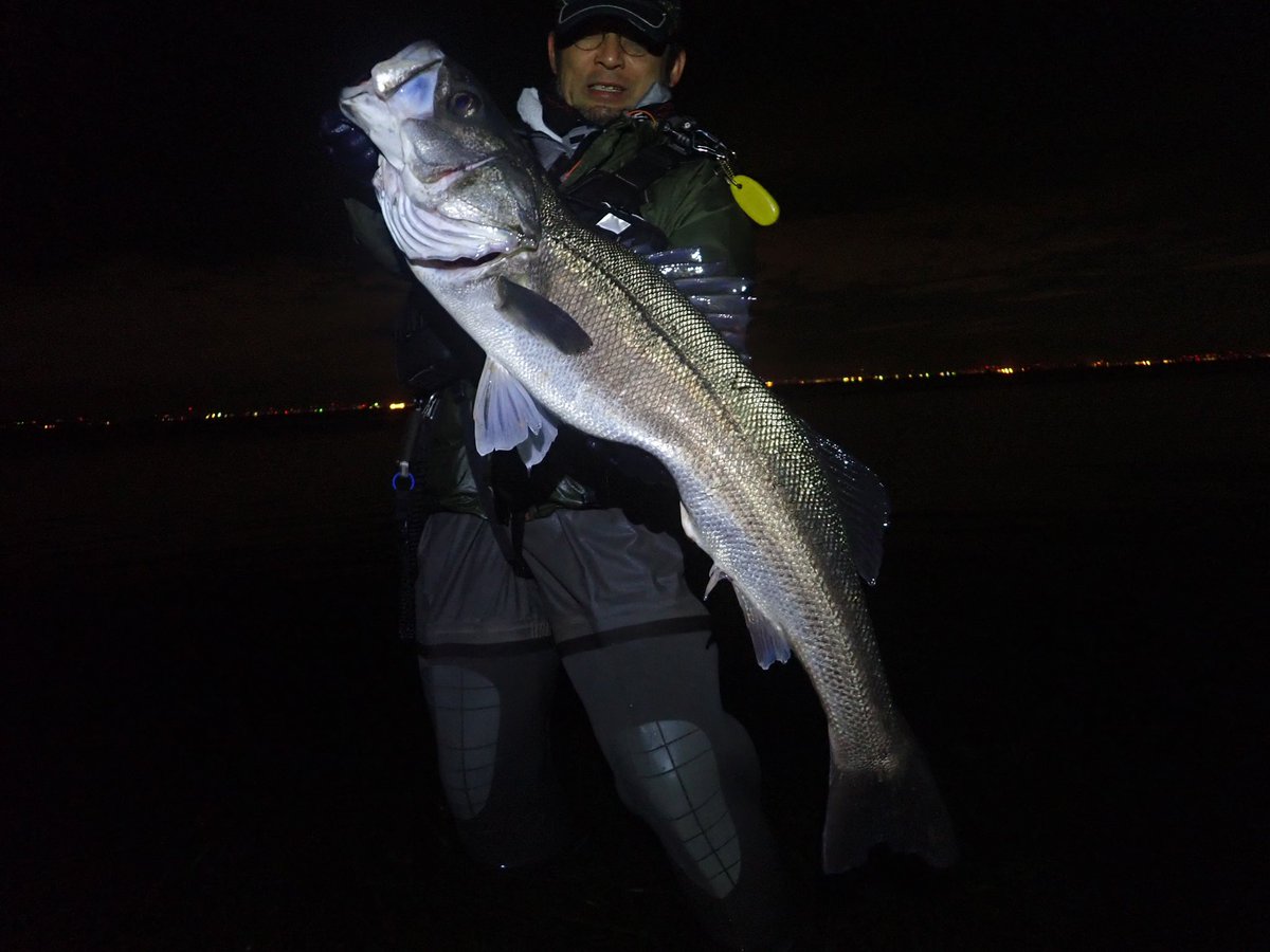 ちゃり林 tweet media