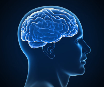 MedwebL's tweet photo. MedWeb News of the day 🎯

New Blood Test 🔬 Can Detect 'Toxic' Protein Years Before Alzheimer's Symptoms Emerge, Study Shows 📄

Read full: https://t.co/lb175hqgmK

#alzheimersdisease #toxicprotein #bloodtest #openaccess #medicalnews #research https://t.co/GlO9butFXe