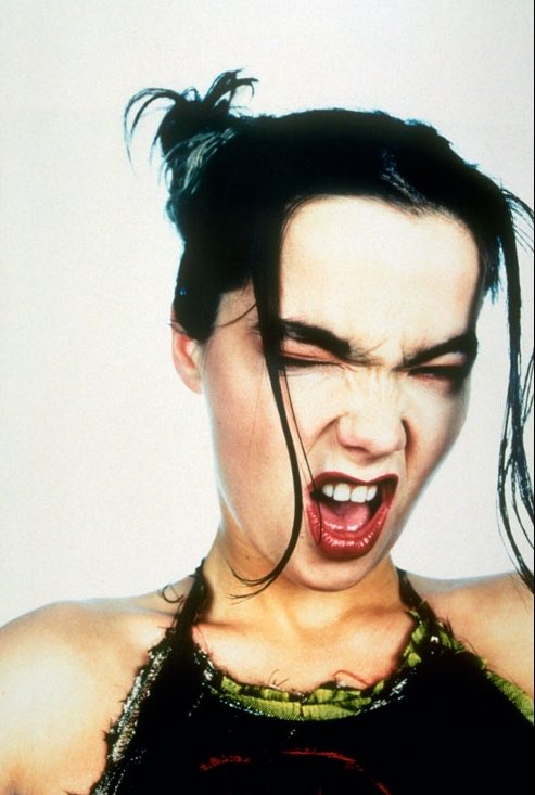dailybjork's tweet photo. 1993 björk by davies &amp; davies https://t.co/GSHLpVOdG3