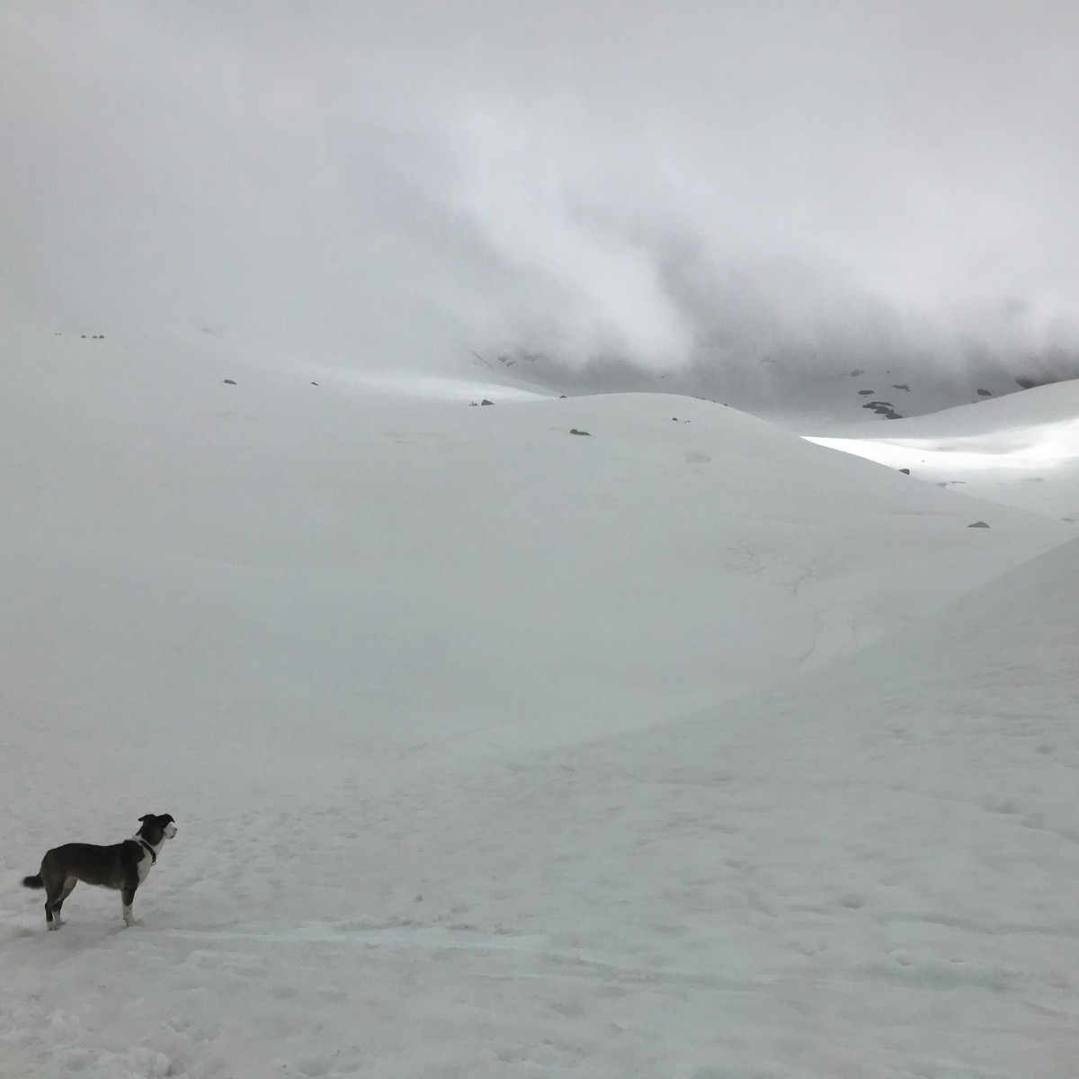 Not all storms come to disrupt your life, some come to clear your path. 🏔️
📸: Mountain Tech Mark Kacmarcik