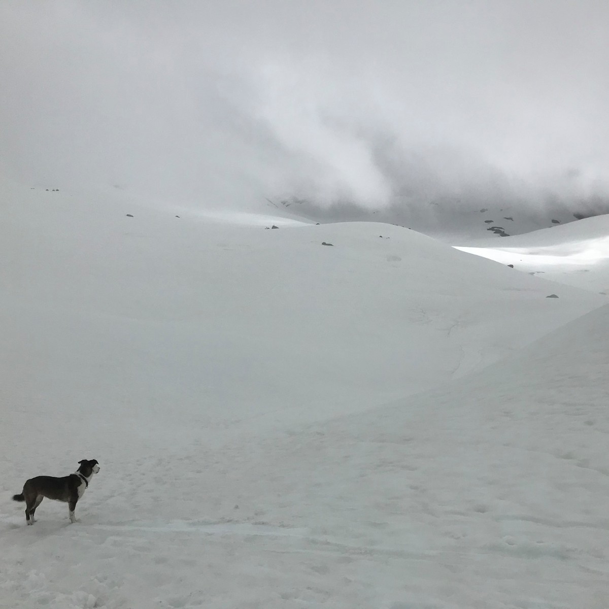 Not all storms come to disrupt your life, some come to clear your path. 🏔️ 📸: Mountain Tech Mark Kacmarcik