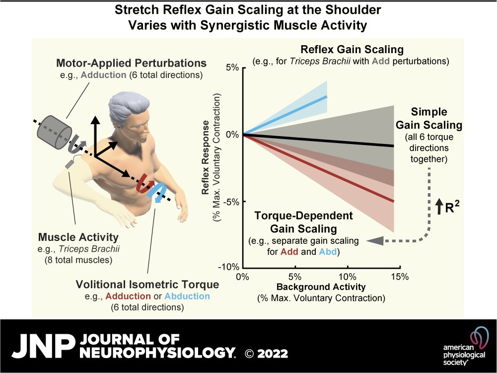 JNeurophysiol's tweet photo. 👉The purpose of this research was to investigate the coordination of stretch reflexes in shoulder muscles elicited by rotations of the glenohumeral joint.
➡https://t.co/DsR0RKNSOR
@kostagus #StretchReflex #shoulder #ReflexCoordination #GainScaling https://t.co/nZ5cwiL0NL