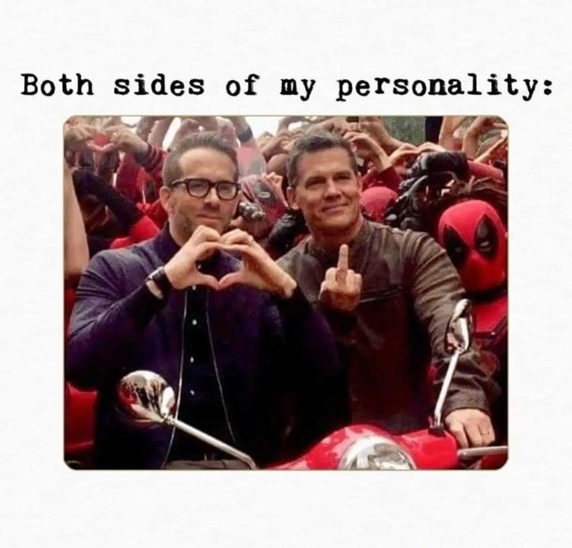 AletheaKontis's tweet image. I feel seen.
#TwoWolves