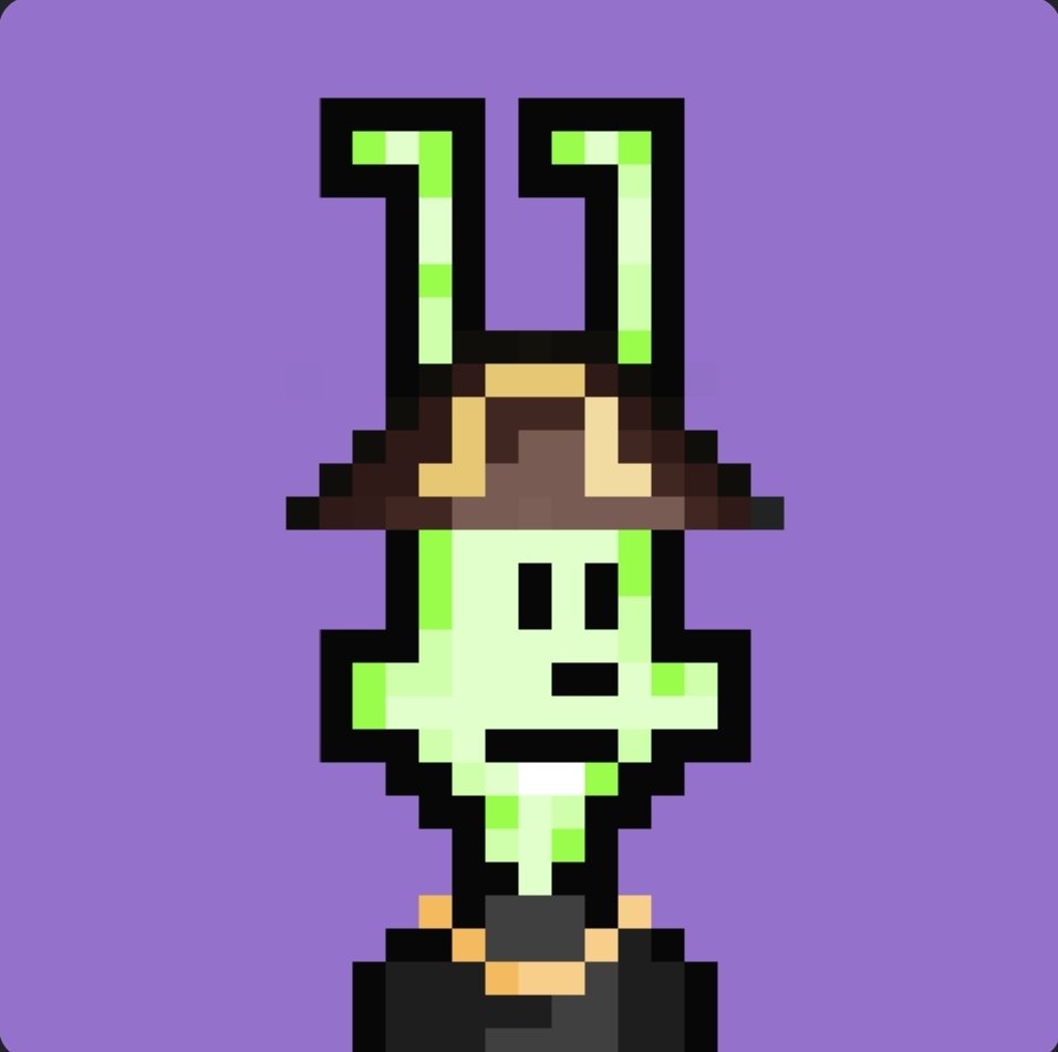 native.algo tweet media