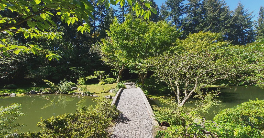 Reminiscing about the warmer days ☀️

"One of my favourite places in Vancouver 🥰" -Naomi

Nitobe will reopen on January 4th from 10 am - 2 pm. We look forward to seeing you in the new year!

📸: Hayley Yip, Volunteer

#nitobegarden #japanesegarden #ubc
