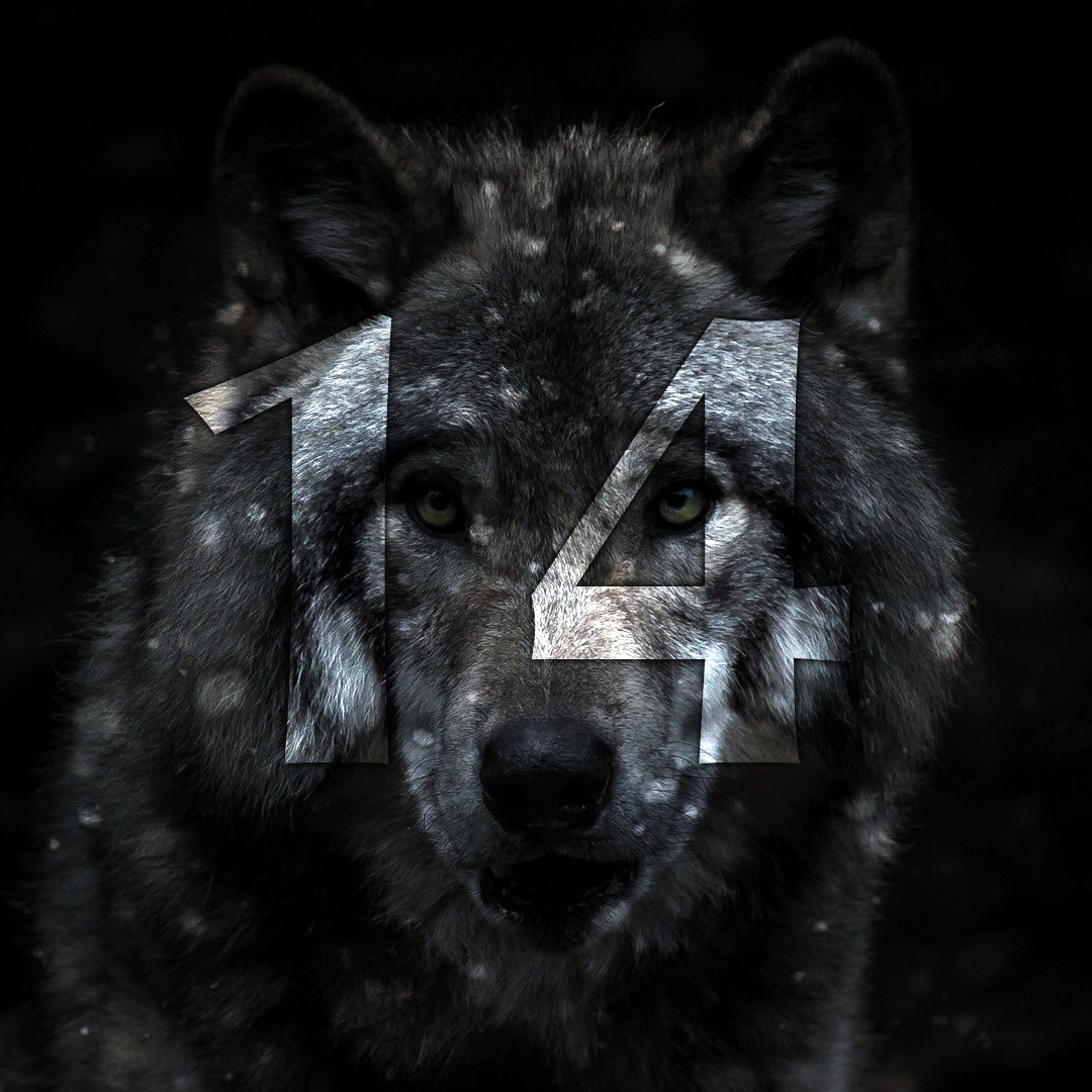 codesigntr's tweet image. 14 years