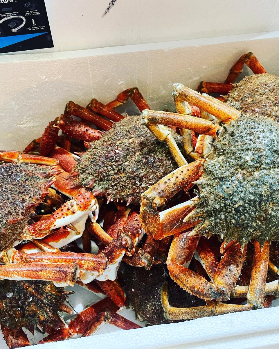 p_eychenie's tweet photo. Les équipes de @METRO_FR mobilisées pour accompagner les restaurants et commerces de proximité dans les fêtes de fin d’année !
De beaux produits à déguster chez nos clients professionnels ! 🦞🦪🍷🍽️ https://t.co/sVF2Oo8ikb