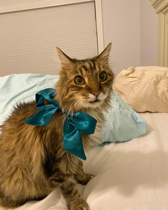 Me and him https://t.co/Mezgxge4Xw