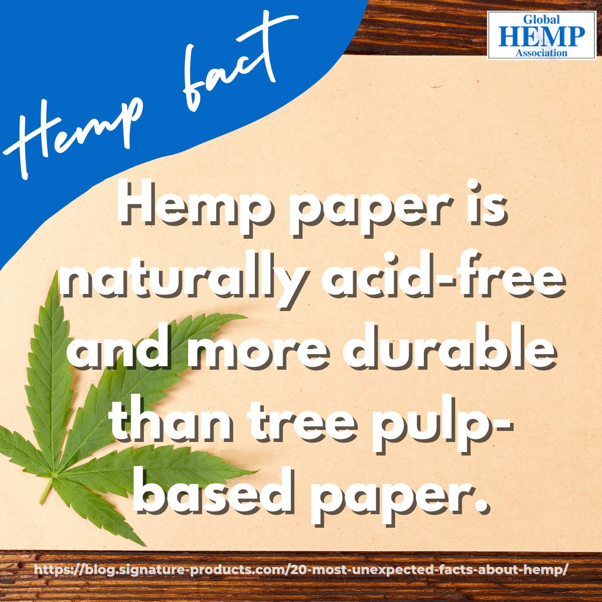 #Hemppaper has a natural shimmer, unlike other papers made from trees. It is also more #durable than tree-based paper, so your work will look better the longer you keep it.

Let's move hemp forward 👉 bit.ly/3SwyfhZ

#sustainable #purposes #hempfacts #hemppaper #acidfree