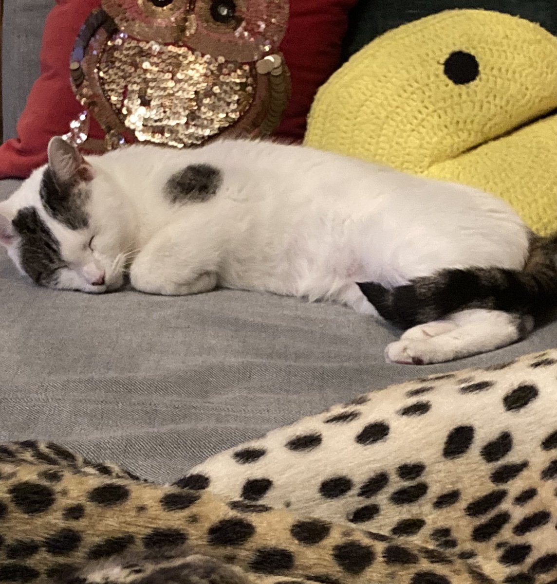 Lara Ewen tweet media