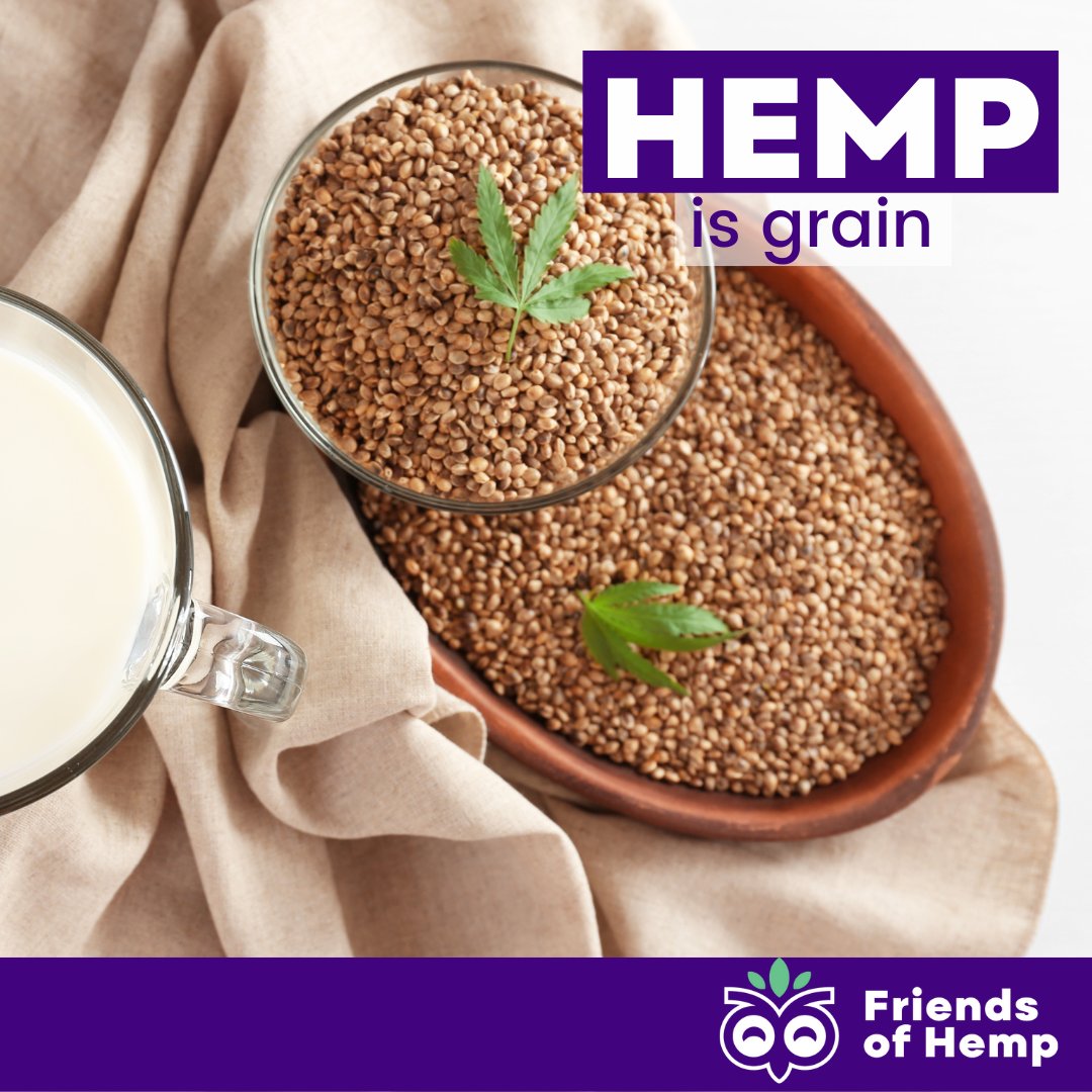 FriendsOfHemp's tweet photo. #Hemp #grain is about the size of sorghum grain, contains 29-34% oil of which 15-25% is alpha-linolenic acid (an omega 3 #fatty acid) compared with 35-45% oil #content for #flax of which 70% may be alpha-linolenic acid. (By https://t.co/E0qb5wnMjm)

👉 https://t.co/NrkeoPgNVB https://t.co/rrkZtYE2Gh