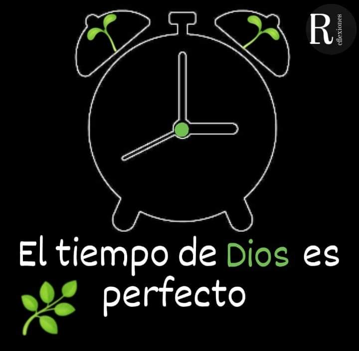 Reflexiones (@reflexiones5962) on Twitter photo 