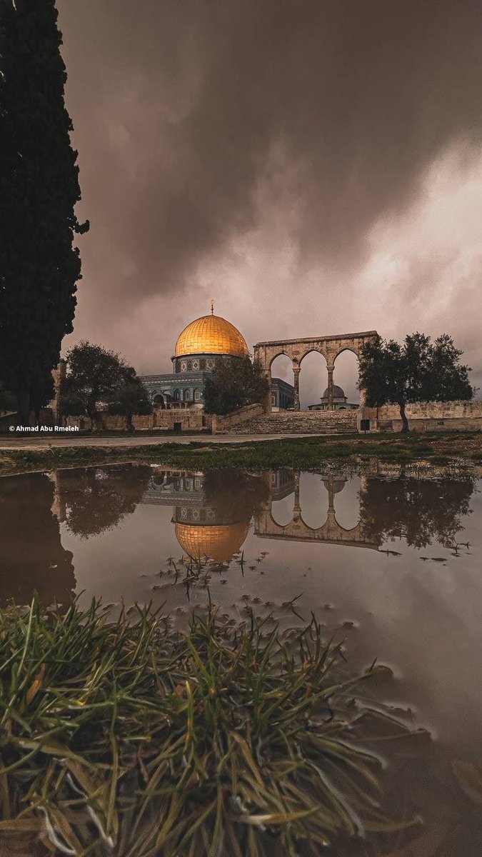 MuhammadSmiry's tweet photo. The beauty of the Dome of the Rock, Al-Aqsa, Palestine. https://t.co/3o7rlTQFIJ