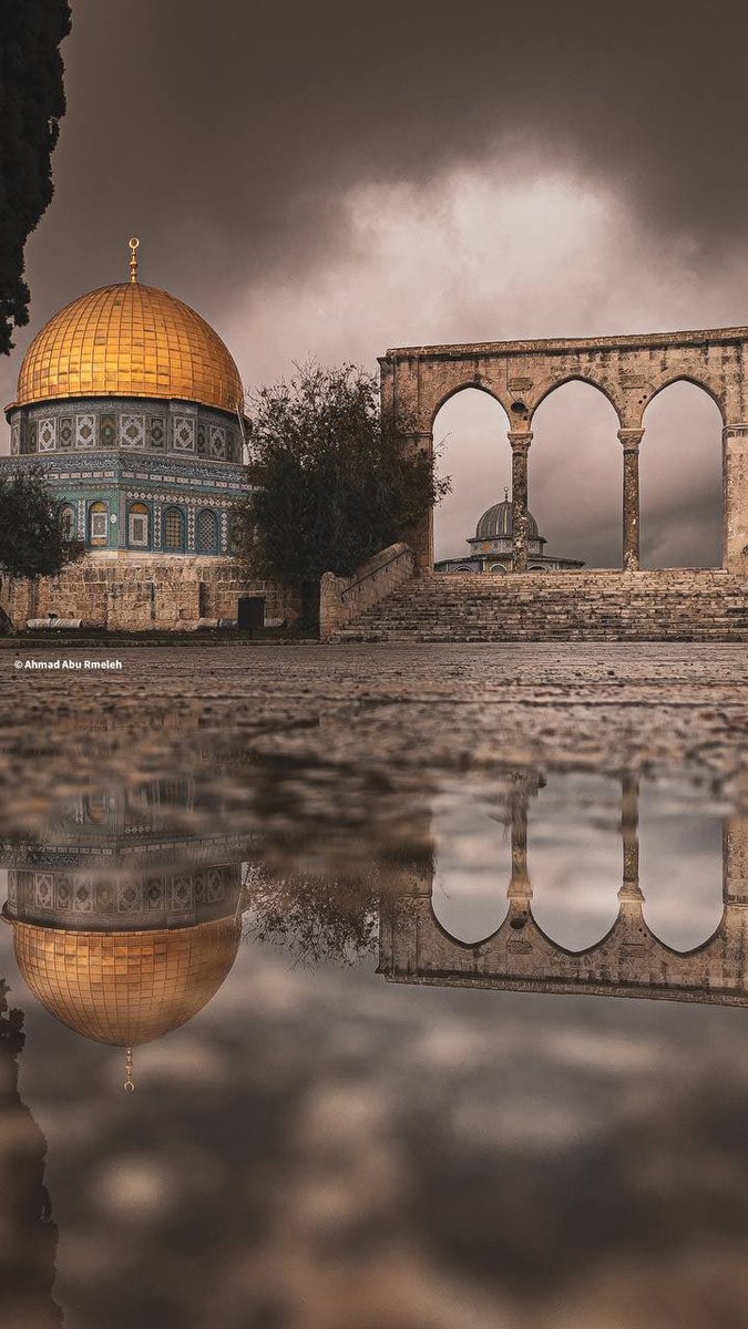 MuhammadSmiry's tweet photo. The beauty of the Dome of the Rock, Al-Aqsa, Palestine. https://t.co/3o7rlTQFIJ