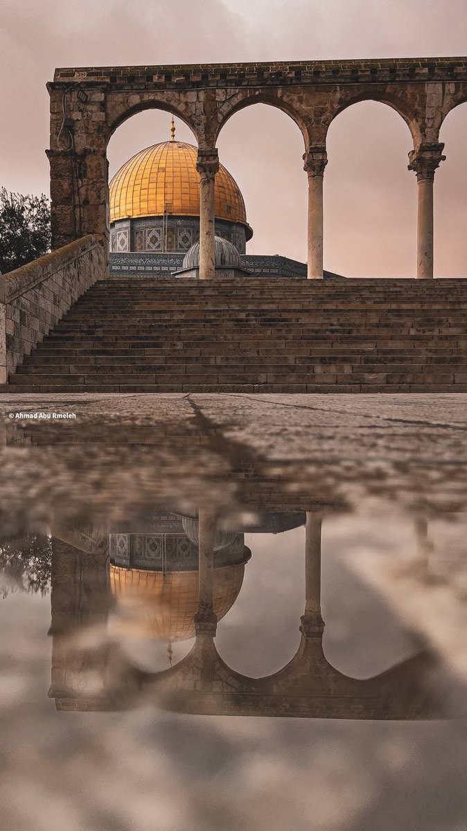 MuhammadSmiry's tweet photo. The beauty of the Dome of the Rock, Al-Aqsa, Palestine. https://t.co/3o7rlTQFIJ